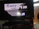 20080616fuyusona.jpg
